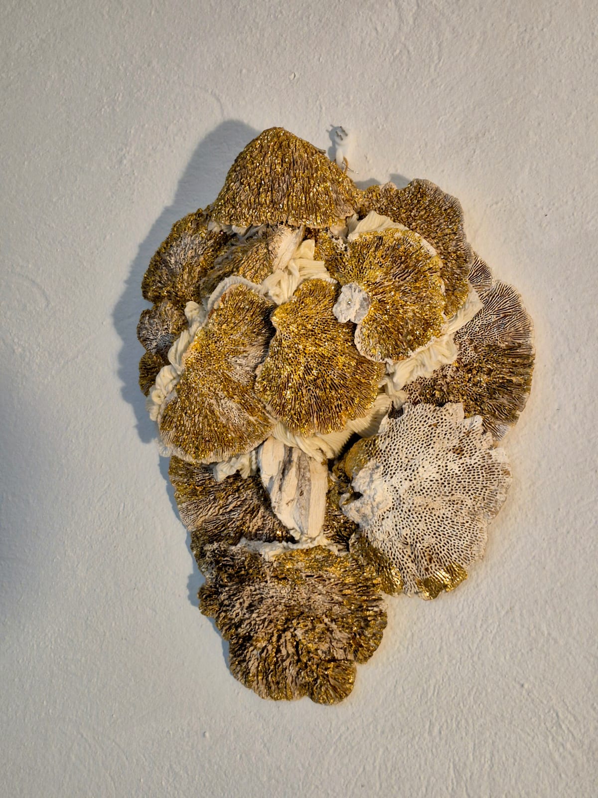 Les éveillées mycéliques